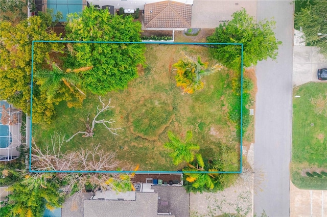 4615 S Woodlynne Ave, Tampa, FL 33611 - photo 4