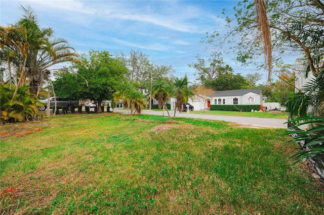 4615 S Woodlynne Ave, Tampa, FL 33611 - photo 8