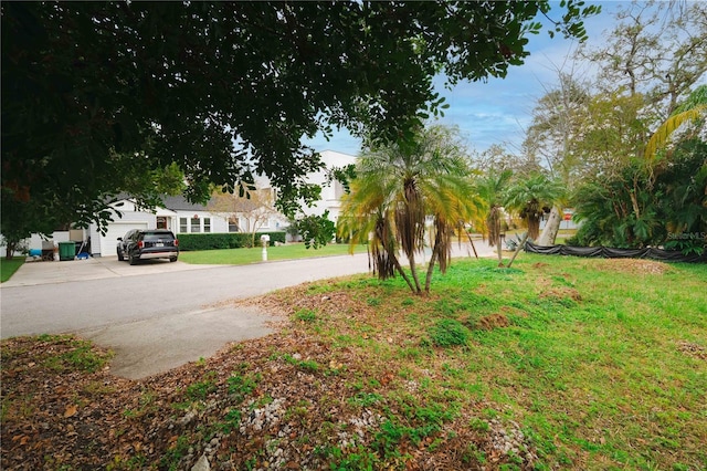 4615 S Woodlynne Ave, Tampa, FL 33611 - photo 15