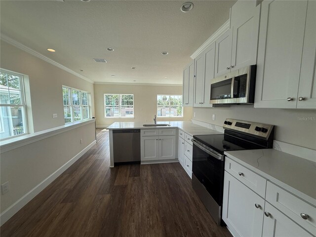 5727 Desert Rose Pl, Tampa, FL 33615 - photo 10