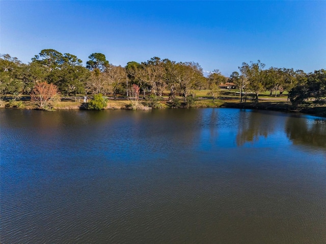 view of water feature