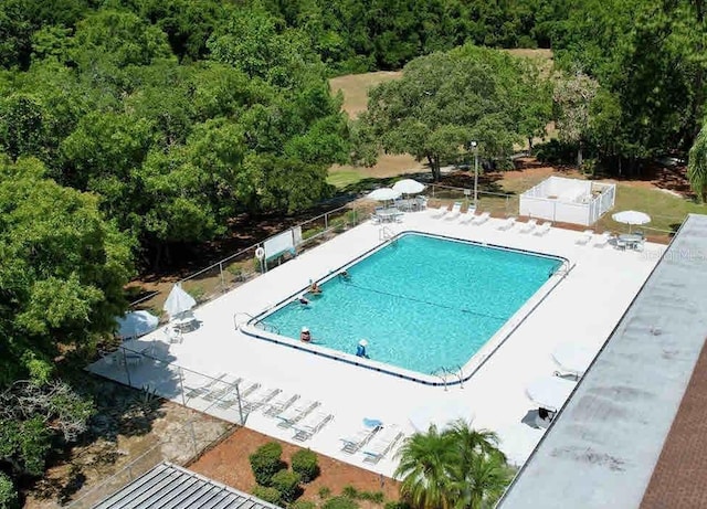 view of pool featuring a patio area