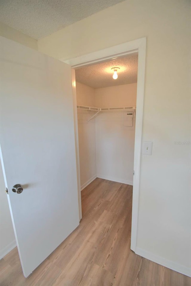 spacious closet featuring light hardwood / wood-style floors