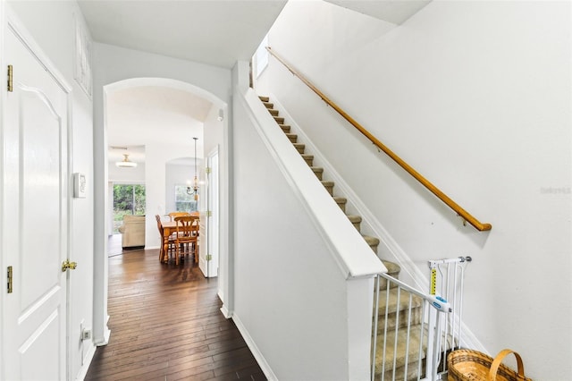 stairway with hardwood / wood-style flooring