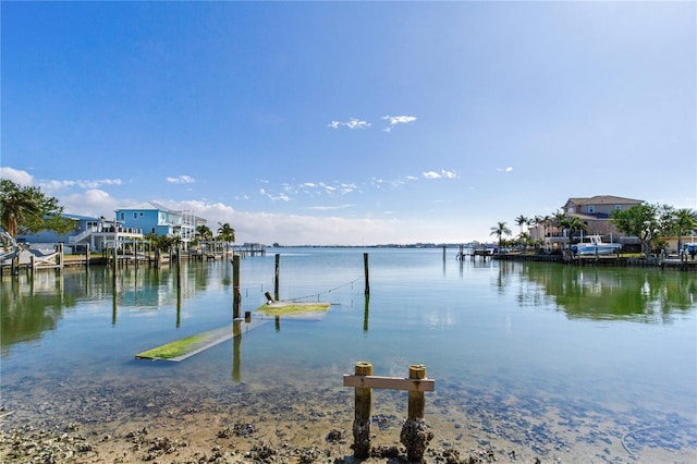 dock area with a water view