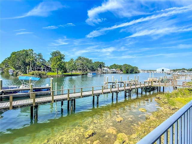 dock area featuring a water view