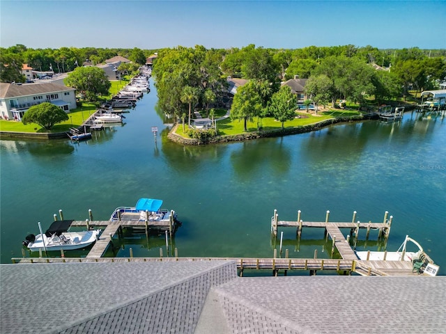 dock area with a water view