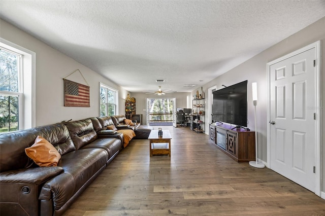 living room featuring wood-type flooring, a textured ceiling, and ceiling fan