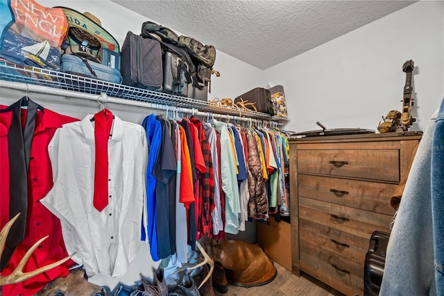 spacious closet with hardwood / wood-style flooring