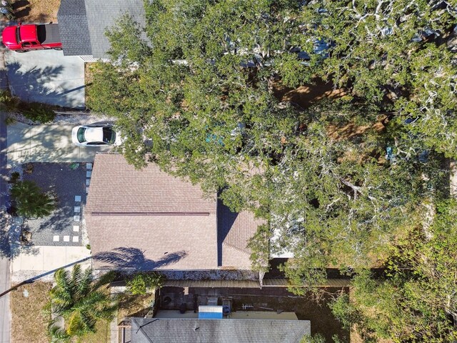 605 E Spruce St, Tarpon Springs, FL 34689 - photo 36