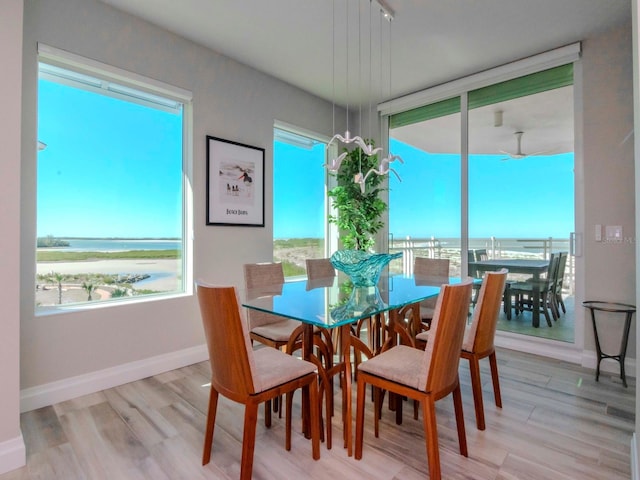 dining room with light wood-type flooring and a water view