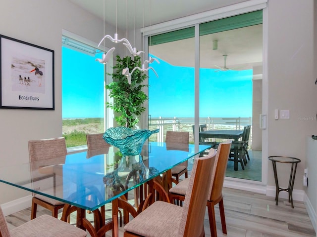 dining area with a water view and light hardwood / wood-style flooring