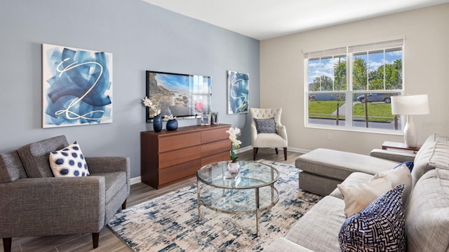 living room with hardwood / wood-style flooring