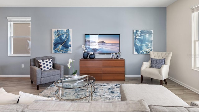 living room with hardwood / wood-style flooring