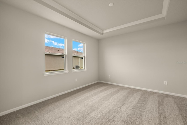 spare room featuring a raised ceiling and carpet