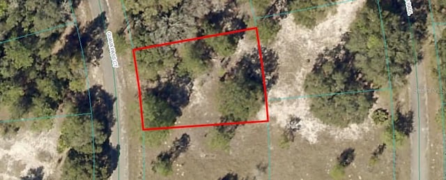 Guava Pass Ct, Ocklawaha FL, 32179 land for sale