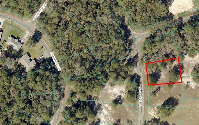 Listing photo 2 for Guava Pass Ct, Ocklawaha FL 32179