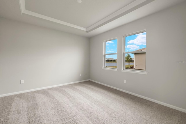 unfurnished room with a raised ceiling and carpet