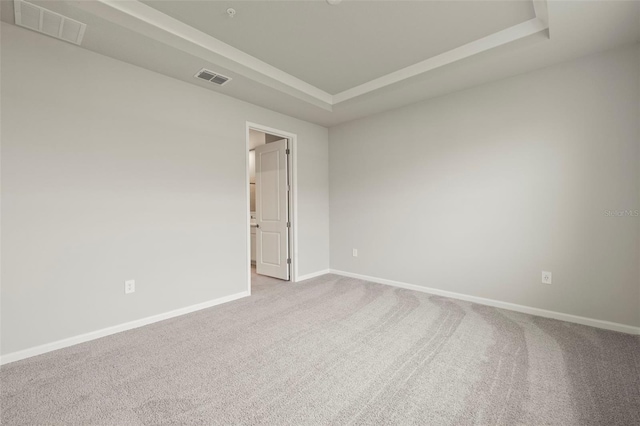 unfurnished room with light carpet and a raised ceiling