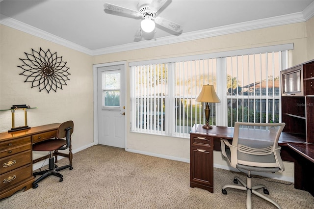 carpeted home office featuring ceiling fan and ornamental molding