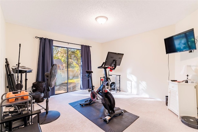 exercise room with a textured ceiling and light colored carpet