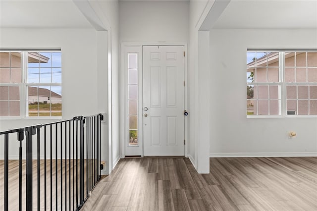 foyer entrance with hardwood / wood-style flooring and a healthy amount of sunlight