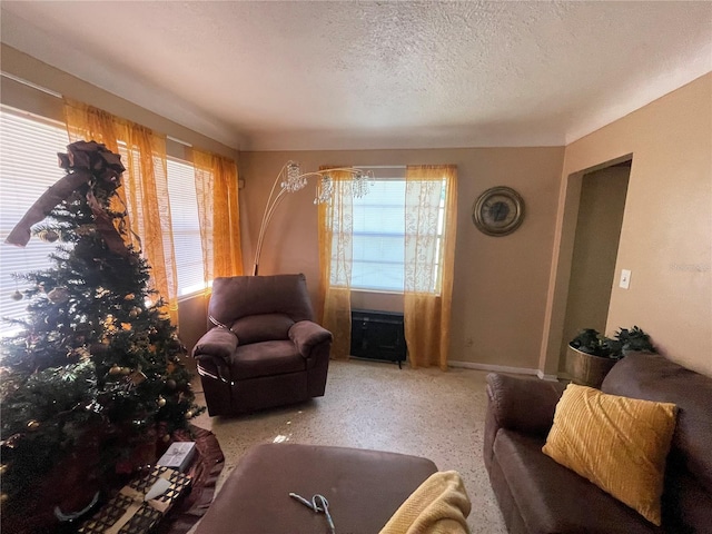 living room with a textured ceiling