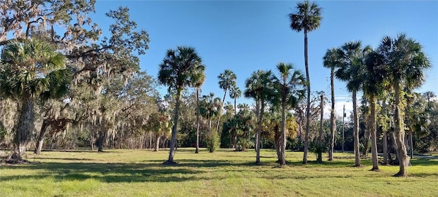 Listing photo 3 for 11105 Winn Rd, Riverview FL 33569