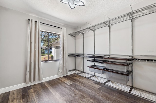 spacious closet featuring hardwood / wood-style floors