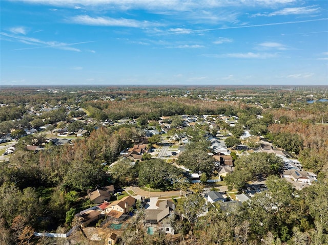 bird's eye view