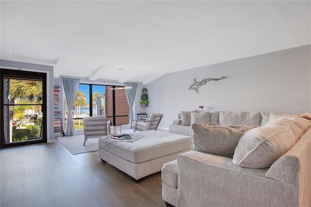 living room with wood-type flooring