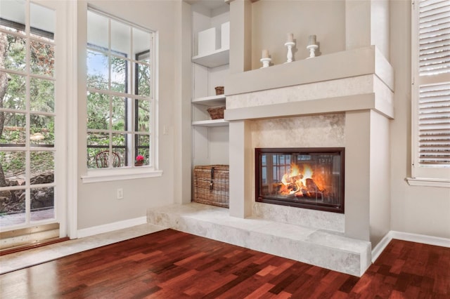 interior details with hardwood / wood-style floors, built in features, and a high end fireplace