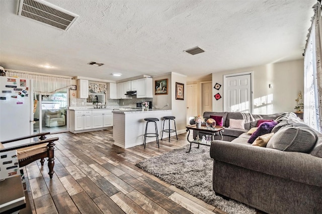 living room with a textured ceiling, dark hardwood / wood-style flooring, and sink