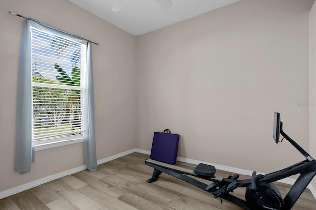 workout room with ceiling fan and light hardwood / wood-style flooring