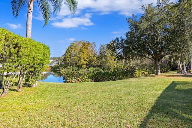 view of yard with a water view