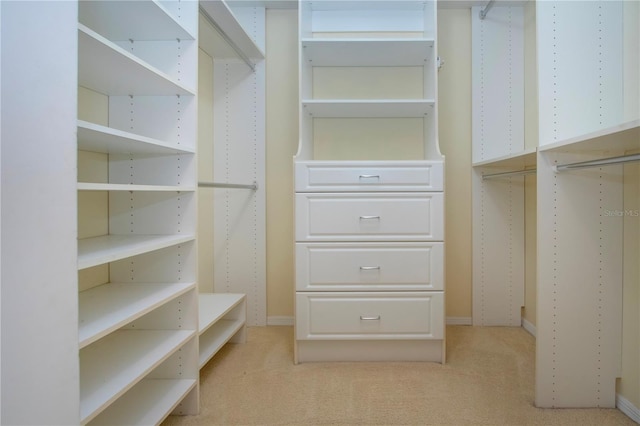 walk in closet with light colored carpet