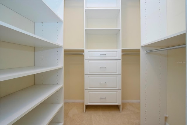 spacious closet with light colored carpet