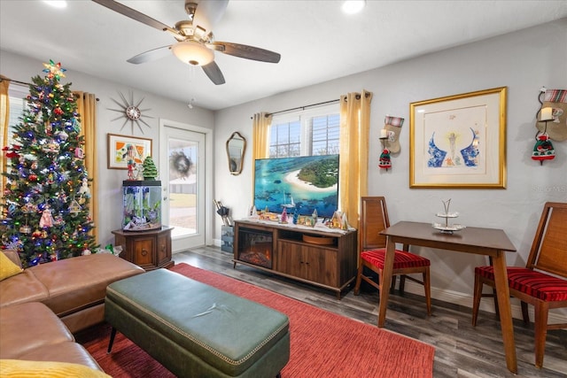 living room with ceiling fan and dark hardwood / wood-style flooring