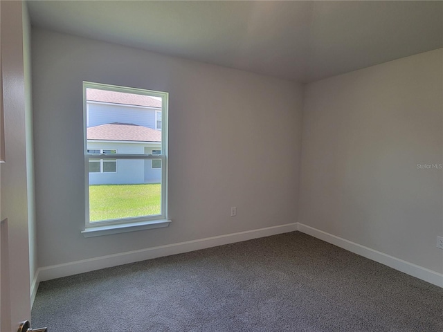 empty room with carpet and a wealth of natural light