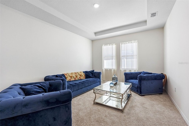 living room featuring light colored carpet and a raised ceiling