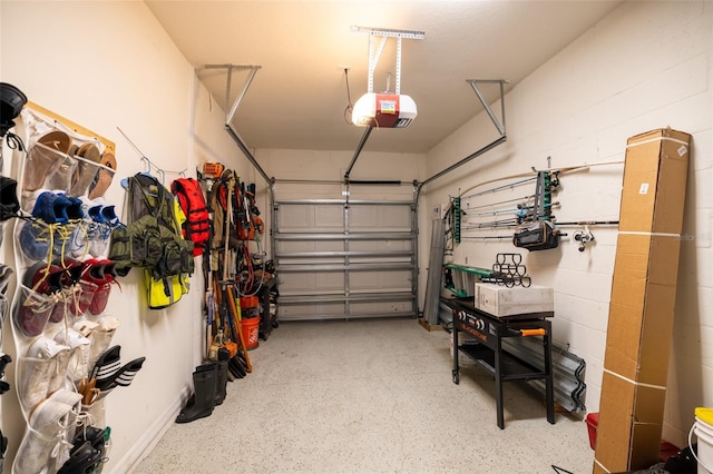 garage with a garage door opener