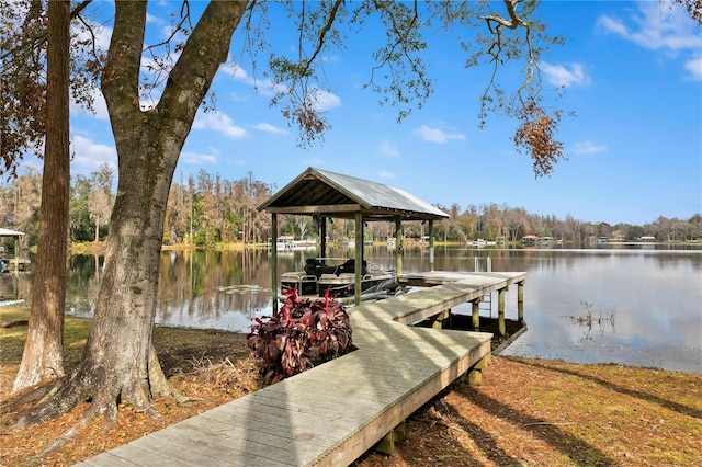 dock area with a water view