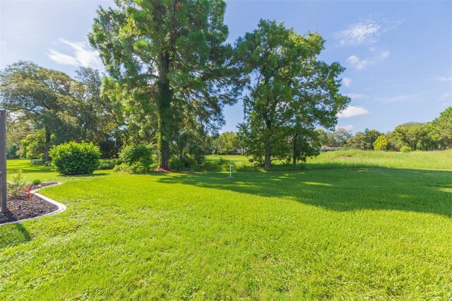 10328 Henderson St, Spring Hill, FL 34608 - view of yard