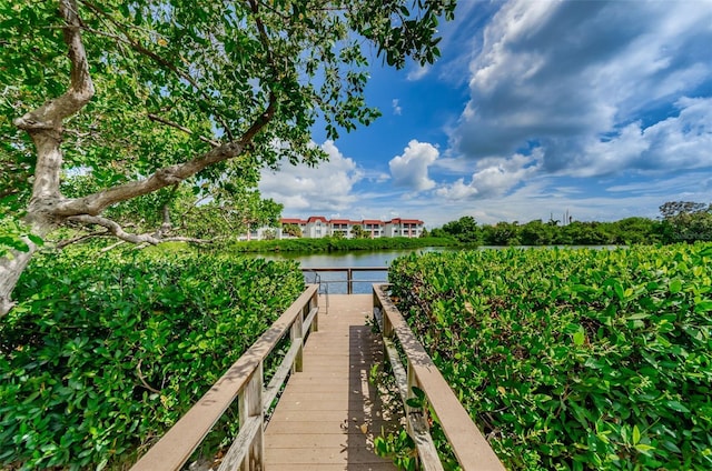 dock area with a water view