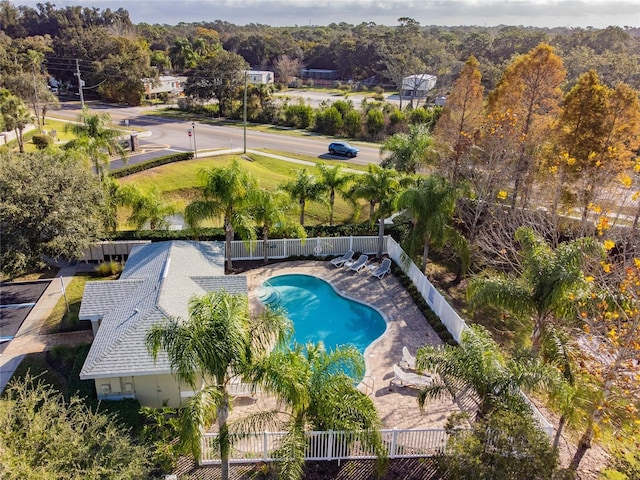 view of swimming pool with a patio