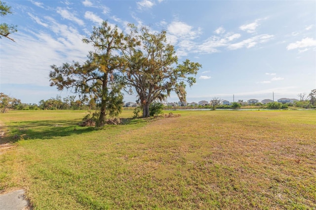 view of yard featuring a rural view