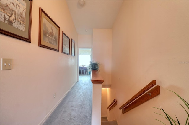 hallway with carpet floors