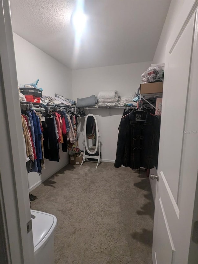 walk in closet with carpet flooring