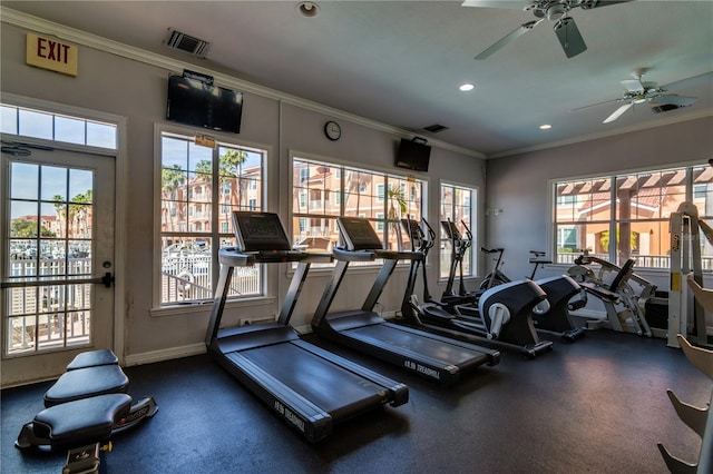 exercise room featuring ornamental molding, plenty of natural light, and visible vents