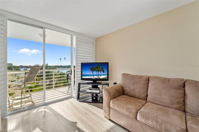 living room featuring hardwood / wood-style flooring and a wall of windows